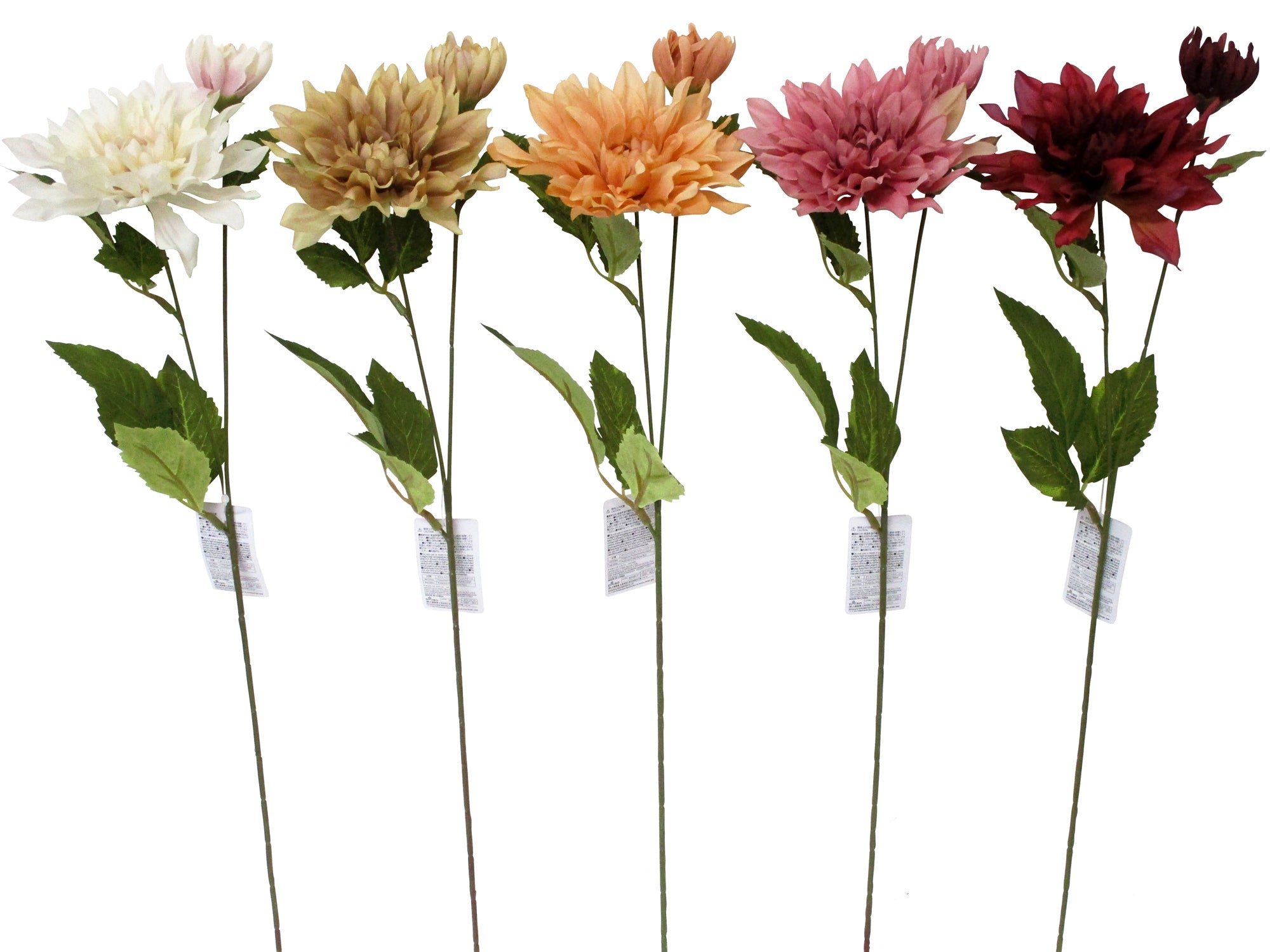 Dahlia Spray (Muse)