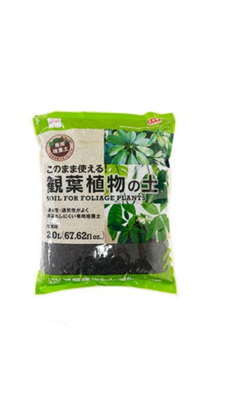 Houseplant Soil