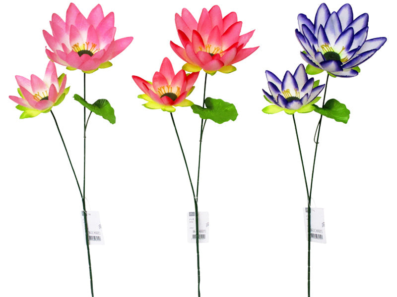 Lotus