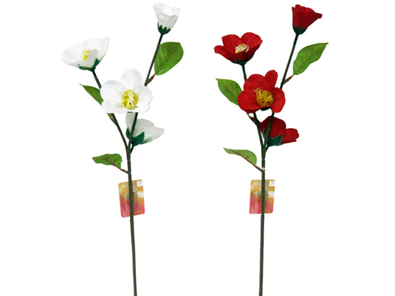 Camellia Spray