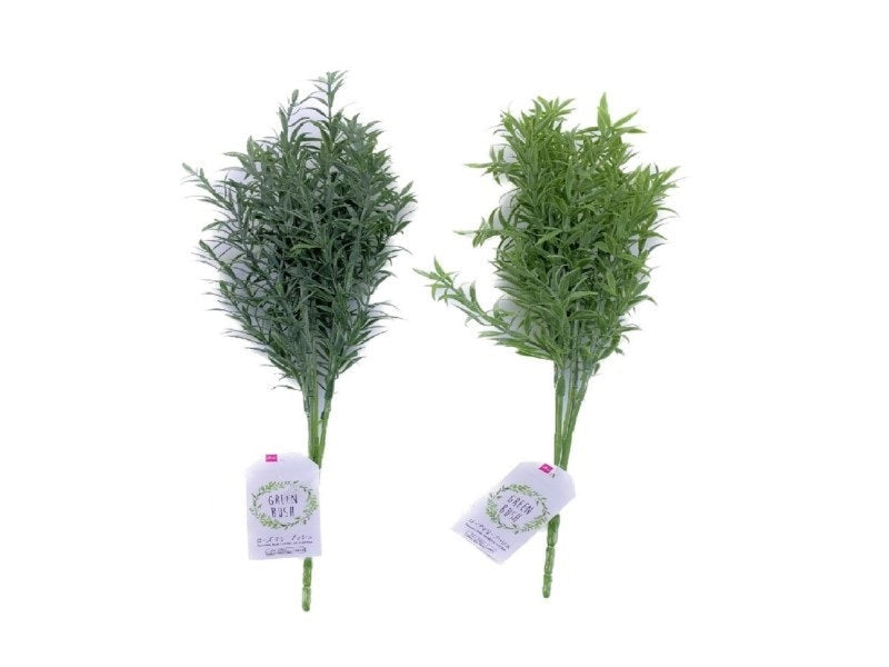 Rosemary Bush