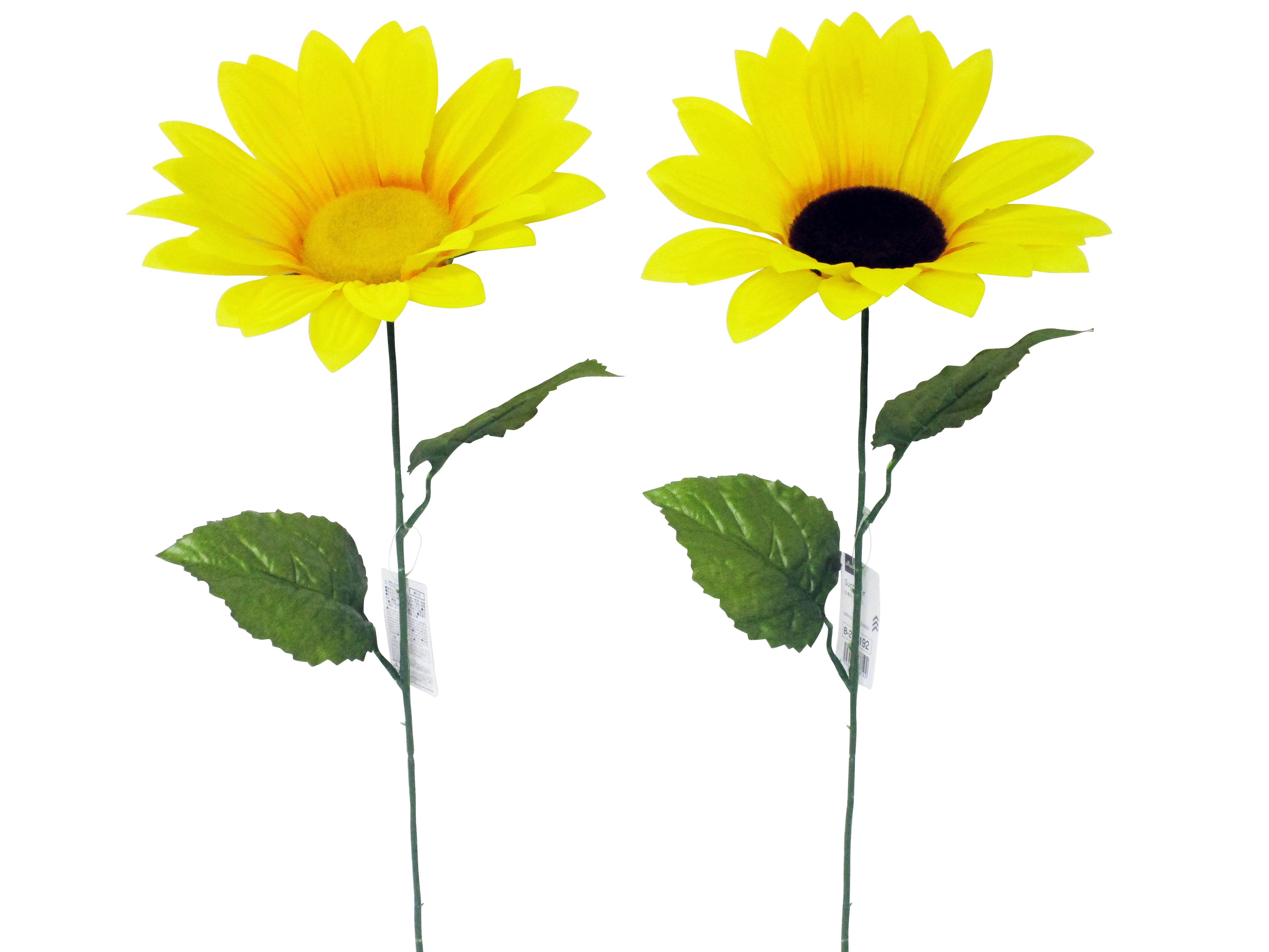 Sunflower (Large)