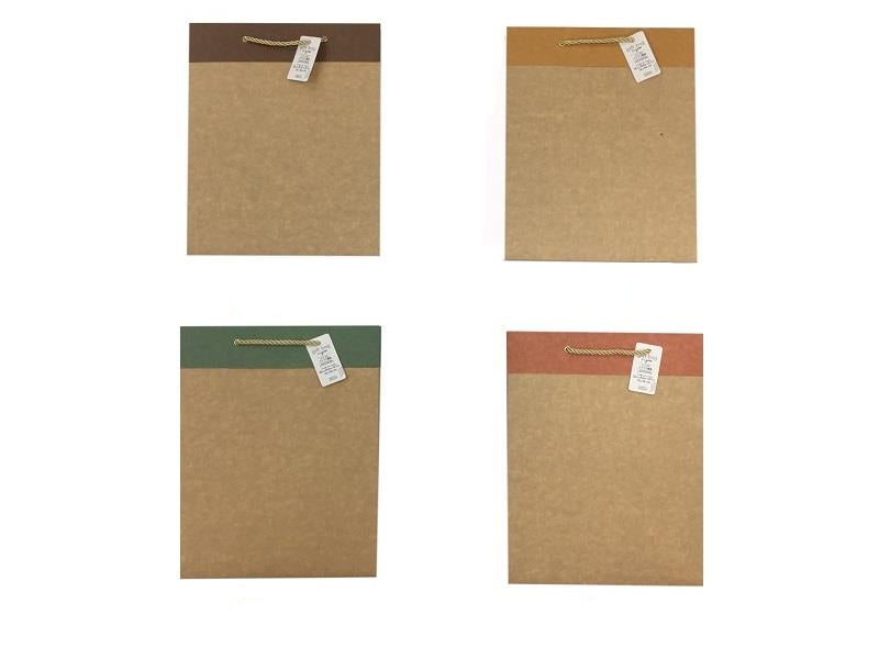 Simple Craft Paper Bag